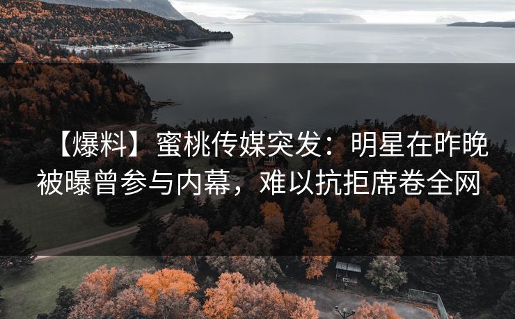 【爆料】蜜桃传媒突发：明星在昨晚被曝曾参与内幕，难以抗拒席卷全网