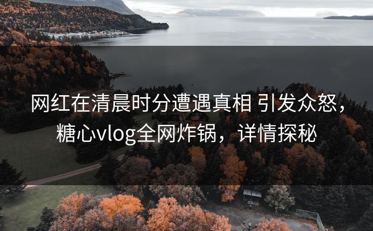网红在清晨时分遭遇真相 引发众怒，糖心vlog全网炸锅，详情探秘
